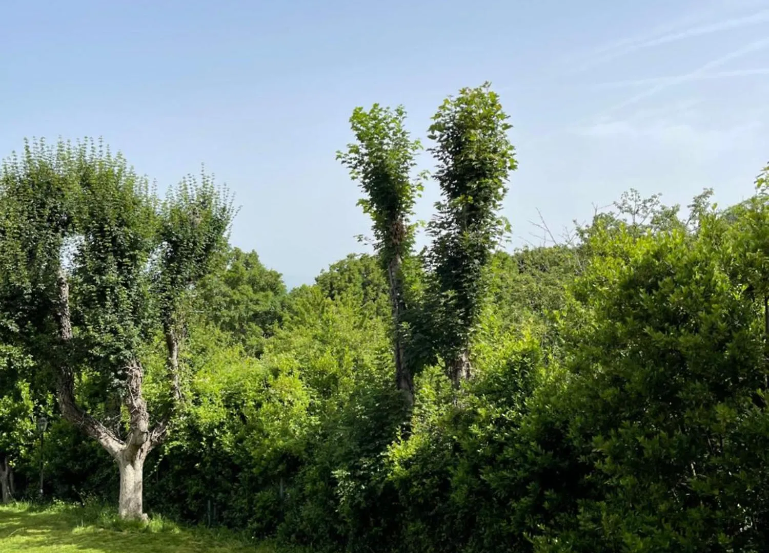 Alloggio per agriturismo Villa L' Aia Del Principe Montepulciano Stazione Italia
